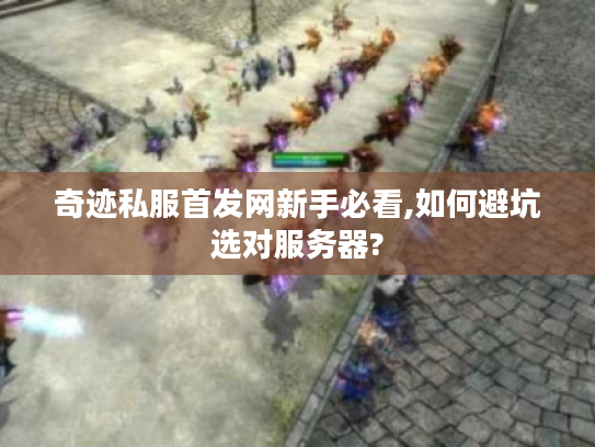 奇迹私服首发网新手必看,如何避坑选对服务器? 奇迹私服首发网新手必看,如何避坑选对服务器?