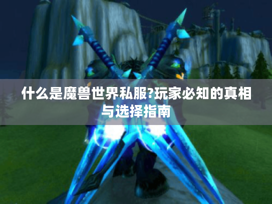什么是魔兽世界私服?玩家必知的真相与选择指南