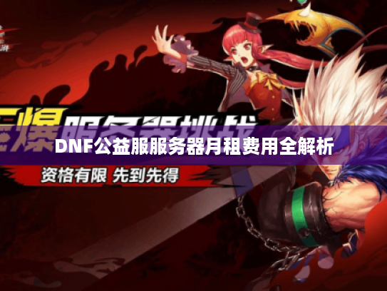 DNF公益服服务器月租费用全解析