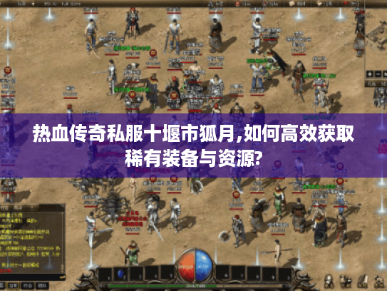热血传奇私服十堰市狐月,如何高效获取稀有装备与资源?