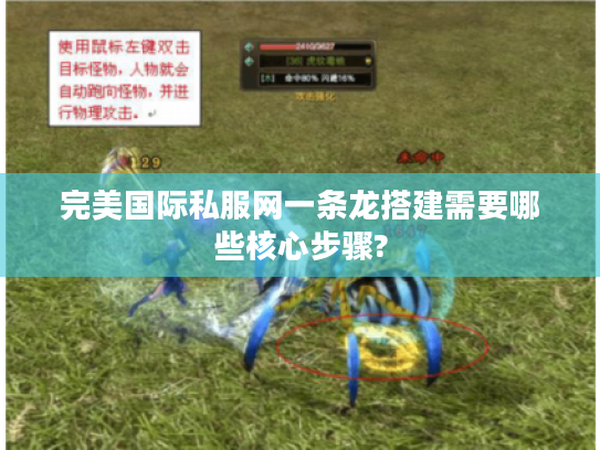 完美国际私服网一条龙搭建需要哪些核心步骤?