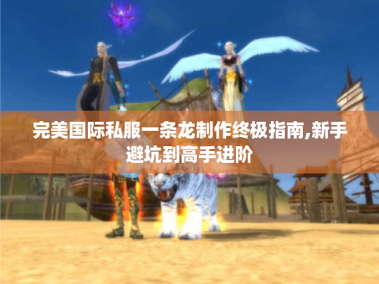 完美国际私服一条龙制作终极指南,新手避坑到高手进阶