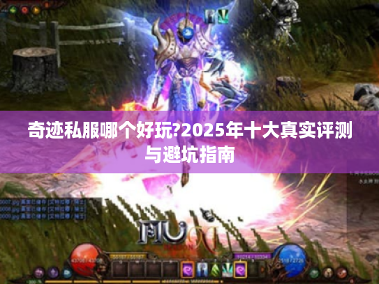 奇迹私服哪个好玩?2025年十大真实评测与避坑指南