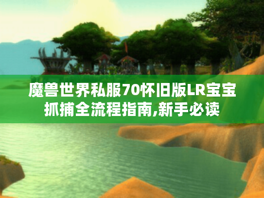 魔兽世界私服70怀旧版LR宝宝抓捕全流程指南,新手必读