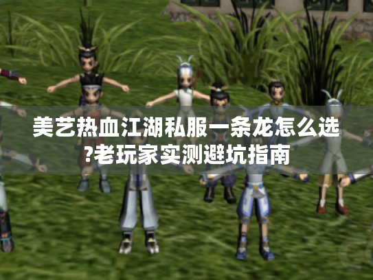 美艺热血江湖私服一条龙怎么选?老玩家实测避坑指南