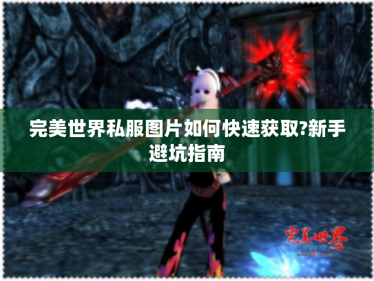 完美世界私服图片如何快速获取?新手避坑指南