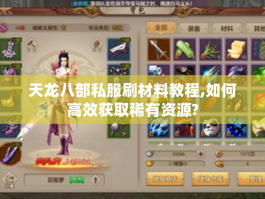 天龙八部私服刷材料教程,如何高效获取稀有资源?