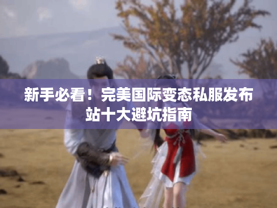 新手必看!完美国际变态私服发布站十大避坑指南 新手必看!完美国际变态私服发布站十大避坑指南