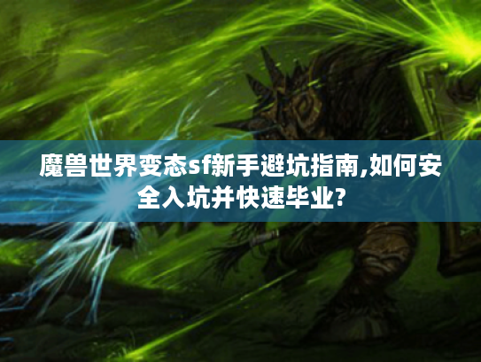 魔兽世界变态sf新手避坑指南,如何安全入坑并快速毕业?