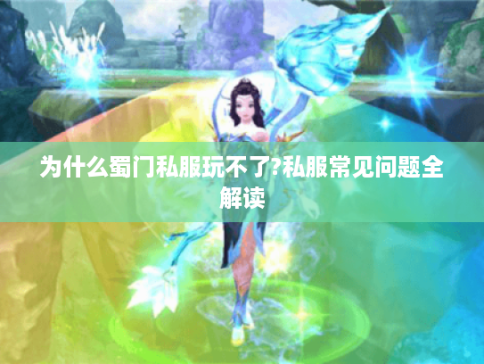 为什么蜀门私服玩不了?私服常见问题全解读