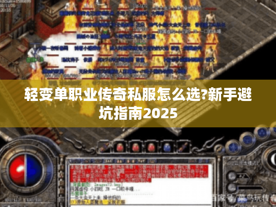轻变单职业传奇私服怎么选?新手避坑指南2025