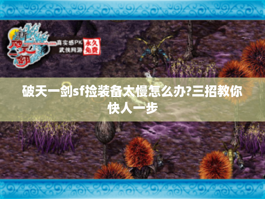 破天一剑sf捡装备太慢怎么办?三招教你快人一步