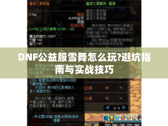 DNF公益服雪舞怎么玩?避坑指南与实战技巧