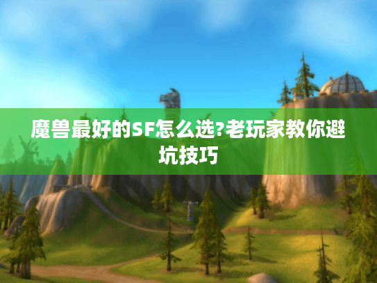 魔兽最好的SF怎么选?老玩家教你避坑技巧