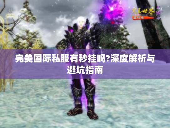 完美国际私服有秒挂吗?深度解析与避坑指南