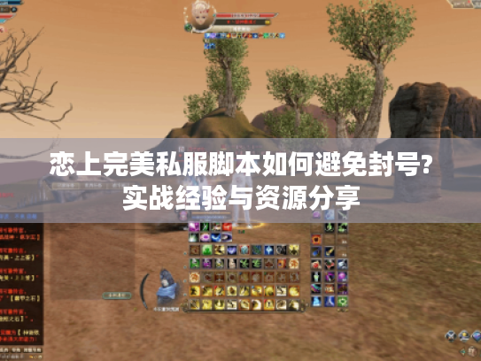 恋上完美私服脚本如何避免封号?实战经验与资源分享