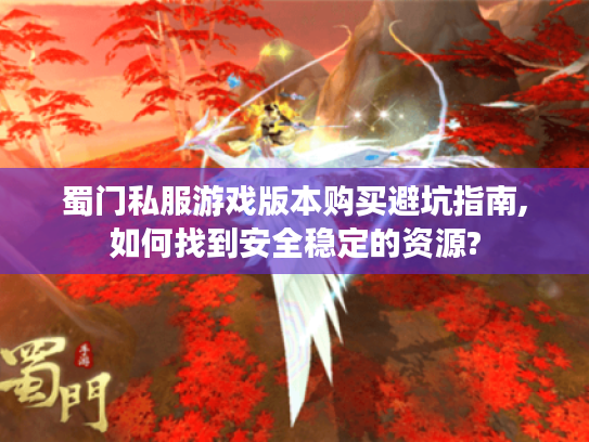蜀门私服游戏版本购买避坑指南,如何找到安全稳定的资源?