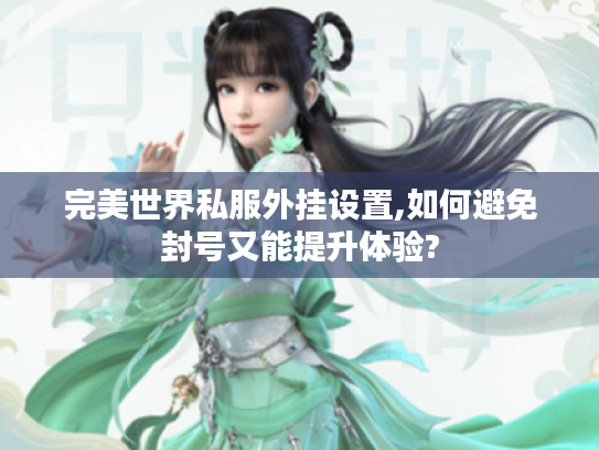 完美世界私服外挂设置,如何避免封号又能提升体验?