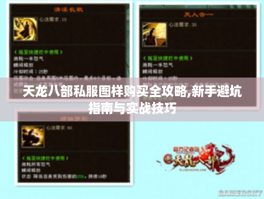 天龙八部私服图样购买全攻略,新手避坑指南与实战技巧