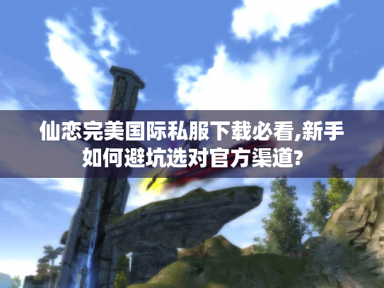 仙恋完美国际私服下载必看,新手如何避坑选对官方渠道?