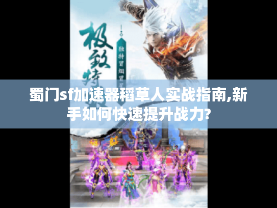 蜀门sf加速器稻草人实战指南,新手如何快速提升战力?
