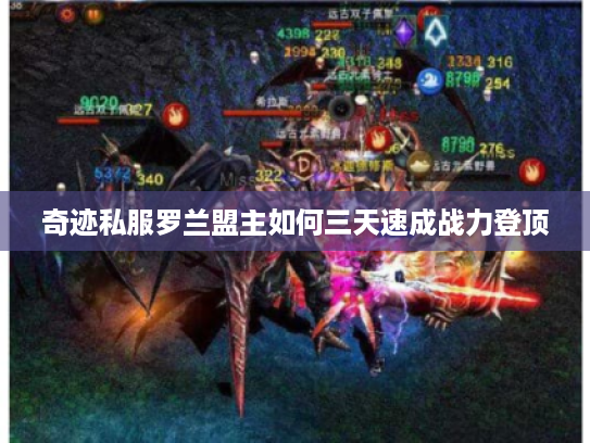 奇迹私服罗兰盟主如何三天速成战力登顶