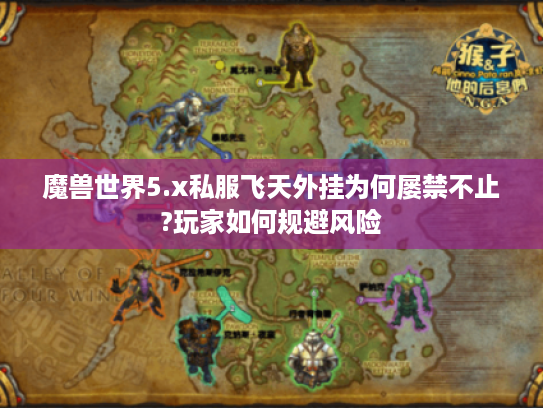 魔兽世界5.x私服飞天外挂为何屡禁不止?玩家如何规避风险