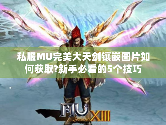 私服MU完美大天剑镶嵌图片如何获取?新手必看的5个技巧