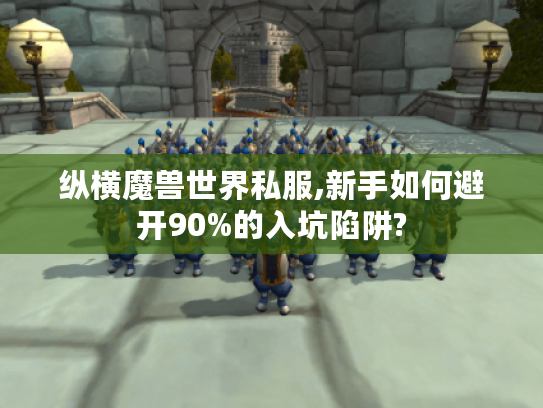 纵横魔兽世界私服,新手如何避开90%的入坑陷阱?