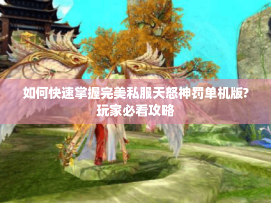 如何快速掌握完美私服天怒神罚单机版?玩家必看攻略