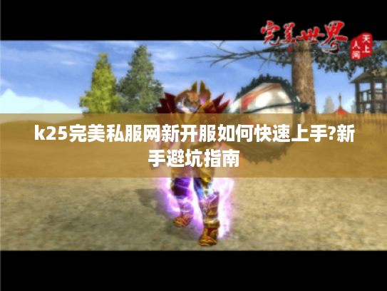 k25完美私服网新开服如何快速上手?新手避坑指南
