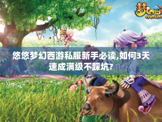 悠悠梦幻西游私服新手必读,如何3天速成满级不踩坑? 悠悠梦幻西游私服新手必读,如何3天速成满级不踩坑?