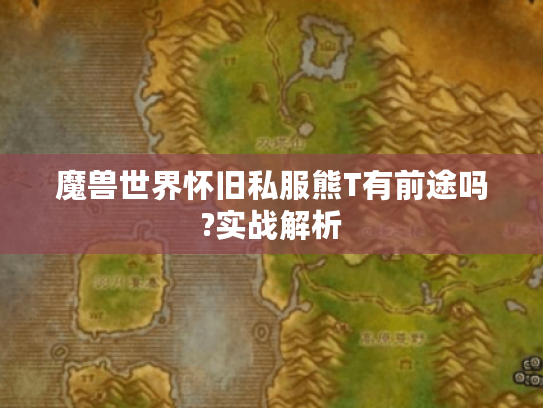 魔兽世界怀旧私服熊T有前途吗?实战解析