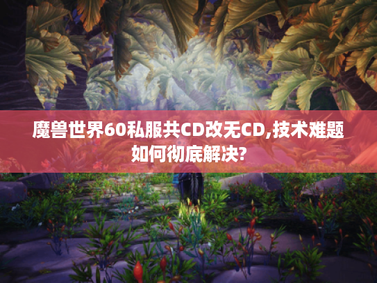魔兽世界60私服共CD改无CD,技术难题如何彻底解决?