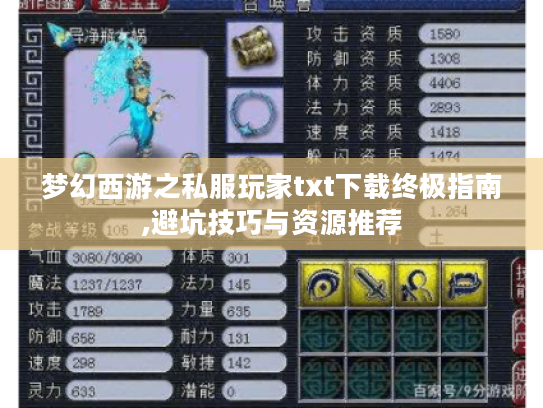 梦幻西游之私服玩家txt下载终极指南,避坑技巧与资源推荐