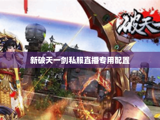 新破天一剑私服直播专用配置