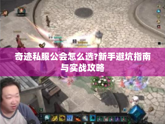 奇迹私服公会怎么选?新手避坑指南与实战攻略