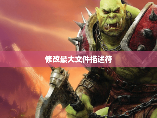 修改最大文件描述符