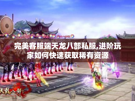 完美客服端天龙八部私服,进阶玩家如何快速获取稀有资源