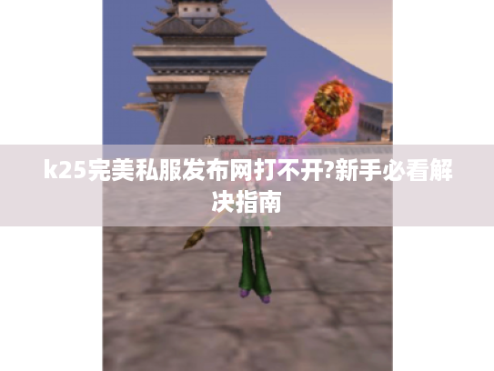 k25完美私服发布网打不开?新手必看解决指南
