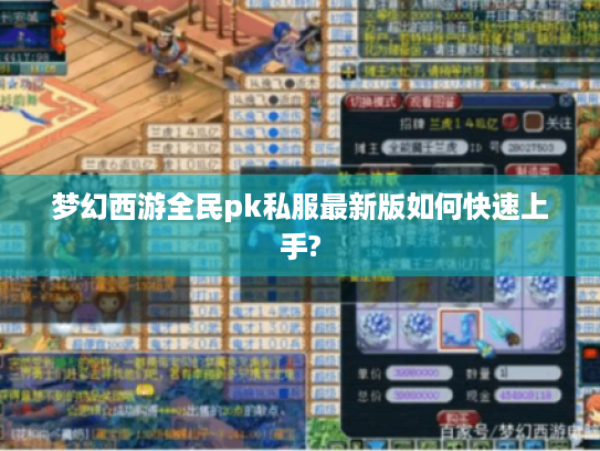 梦幻西游全民pk私服最新版如何快速上手?