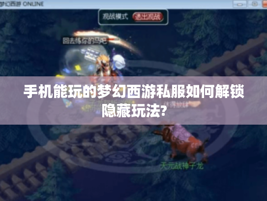 手机能玩的梦幻西游私服如何解锁隐藏玩法?