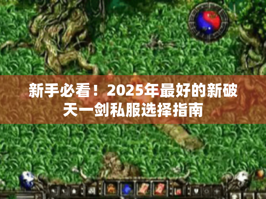 新手必看！2025年最好的新破天一剑私服选择指南