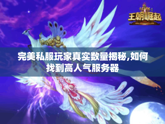 完美私服玩家真实数量揭秘,如何找到高人气服务器