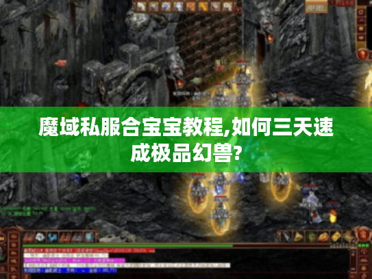 魔域私服合宝宝教程,如何三天速成极品幻兽?