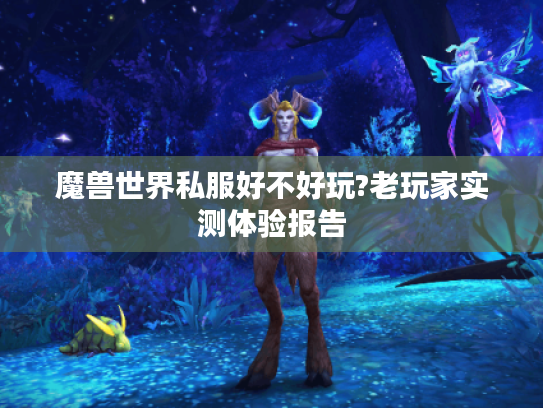 魔兽世界私服好不好玩?老玩家实测体验报告