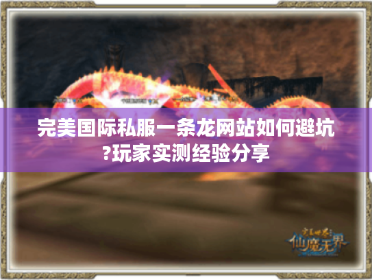 完美国际私服一条龙网站如何避坑?玩家实测经验分享