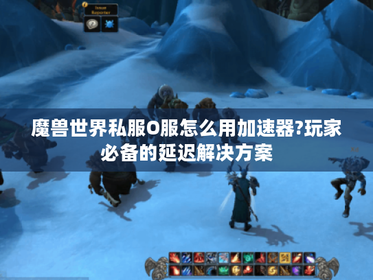 魔兽世界私服O服怎么用加速器?玩家必备的延迟解决方案