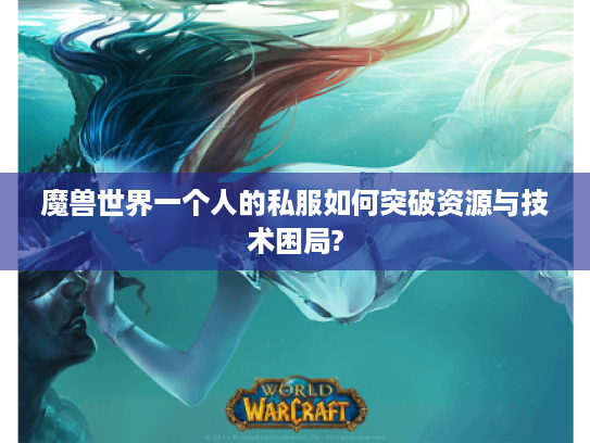 魔兽世界一个人的私服如何突破资源与技术困局? 魔兽世界一个人的私服如何突破资源与技术困局?