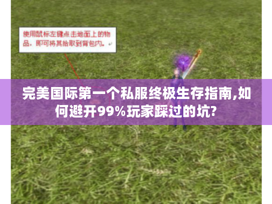 完美国际第一个私服终极生存指南,如何避开99%玩家踩过的坑?